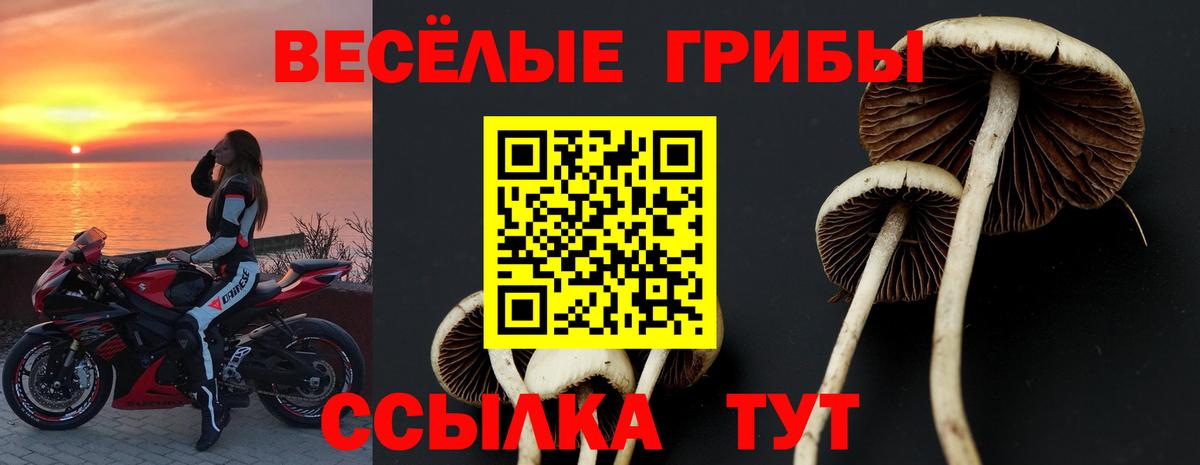 Галлюциногенные грибы Magic Shrooms  Вход с VPN  Псилоцибиновые грибы прущие грибы  Асбест 